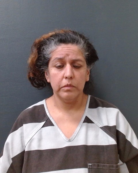 ROJAS, DAISY booking photo