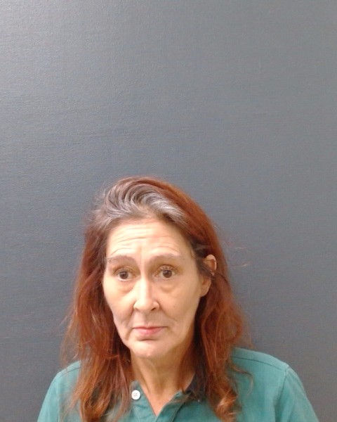 BROGNA, NICHOLE ANN booking photo