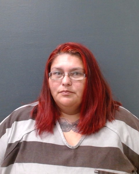 ROSAS, ELIZABETH ANN booking photo