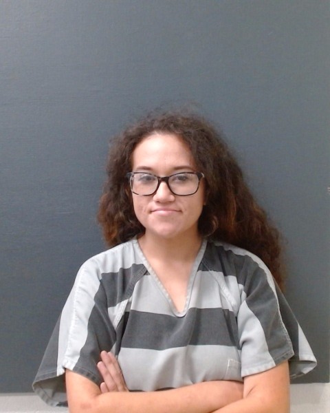 KRAUSE, AMBER TAYLOR booking photo