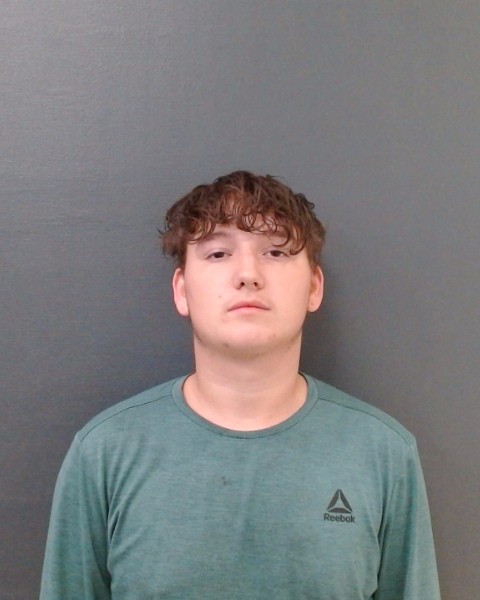 GILLAHAN, TEAG ALEXANDER booking photo