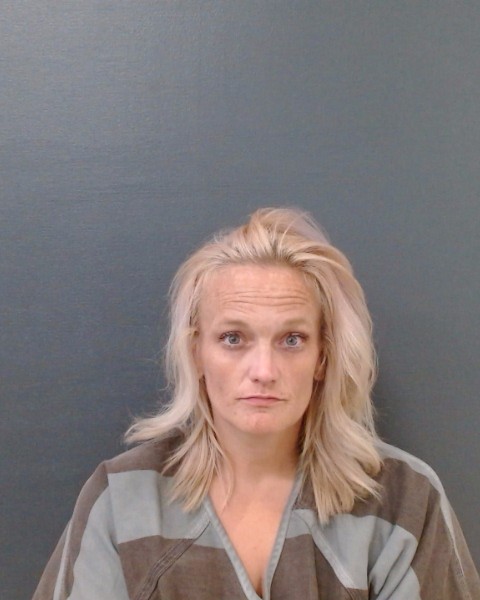 JOHNSON, AMY GRACE booking photo