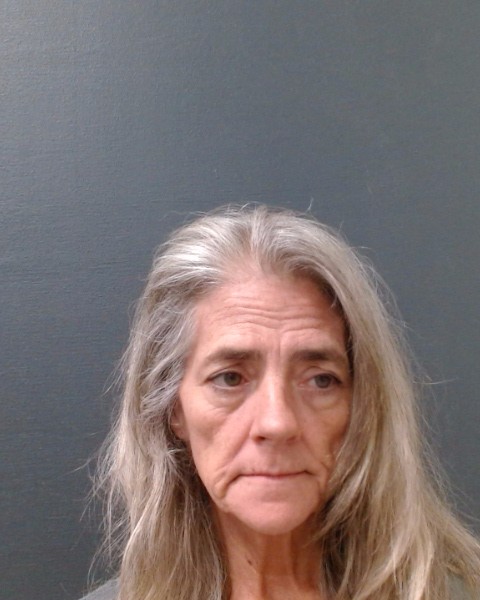 TAYLOR, SUSAN DAWN booking photo