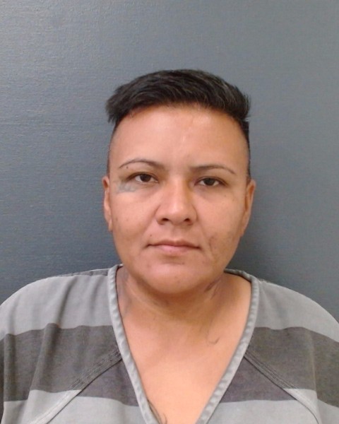 REYES, AMANDA ANN booking photo