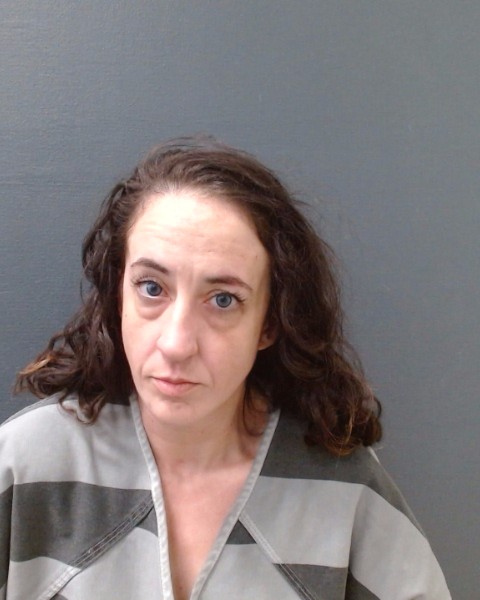 WILHITE, MEGHAN HAYES booking photo