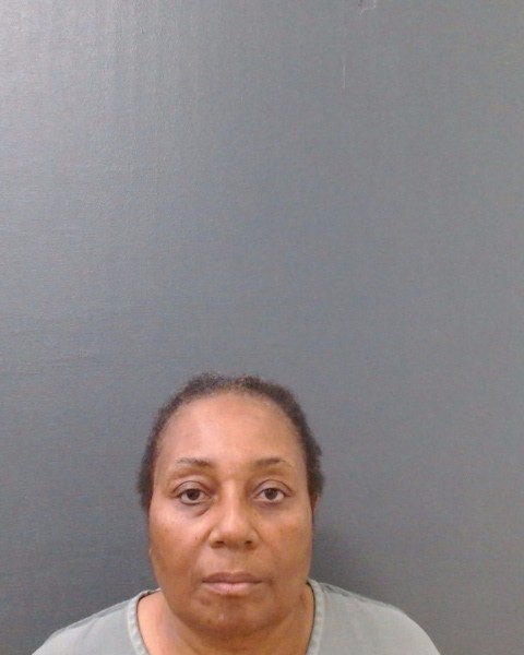 WASHINGTON, CONNIE DENISE booking photo