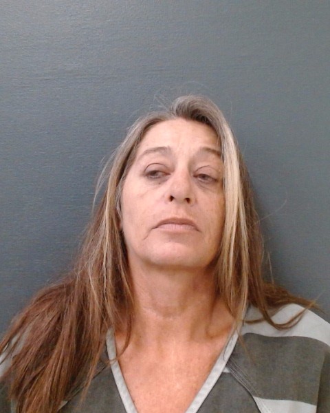 PADY, PAMELA ELAINE booking photo