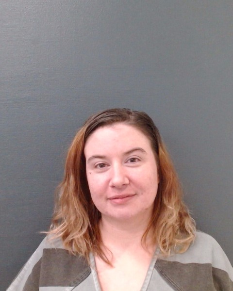 WOMACK, DANIELLE NICOLE booking photo