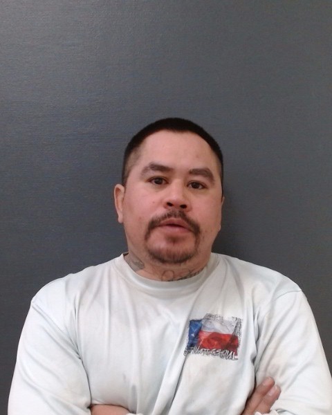 LAGUNAS, JESSE booking photo