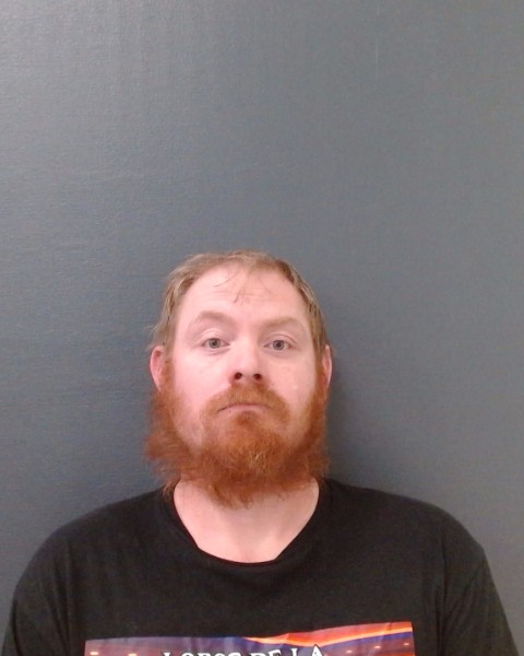 MCKINNEY, RANDALL RIDINGS booking photo