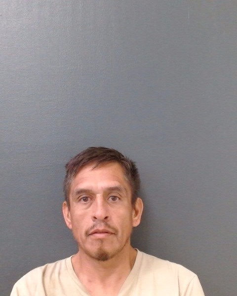 DIAZ, ROGER booking photo