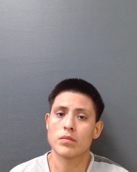 MALDONADO, ROBBIE ANN booking photo