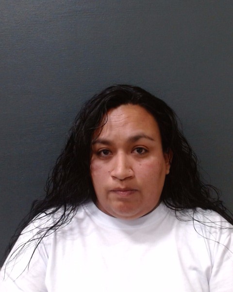 MEDINA, DESIREE LYSETT booking photo