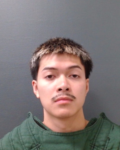 SON, ALEXANDER TAI booking photo