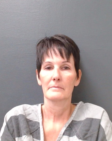 JONES, RENEE LEE booking photo