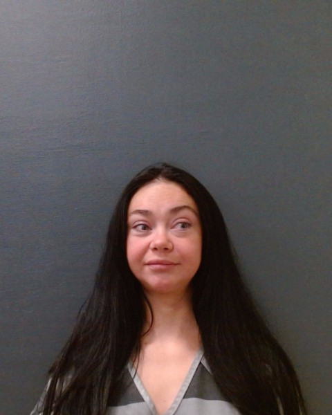 BUSBY, RIKKI LYNN booking photo