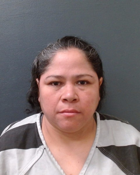 ESPINO-LOPEZ, NORMA JANETH booking photo