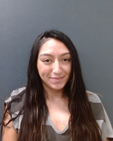 MEDELLIN, GABRIELLA RENEE booking photo