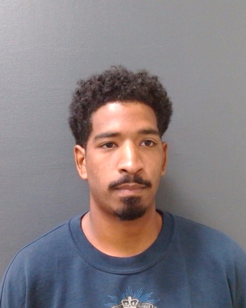 GORHAM, CHRISTIAN MICHAEL booking photo