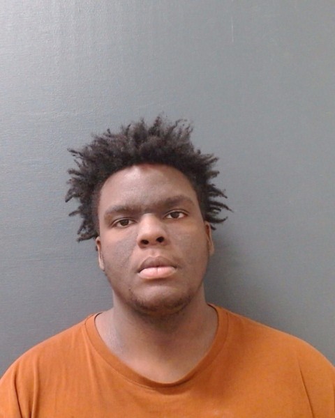 ROWSER, JACOB LEVORN booking photo