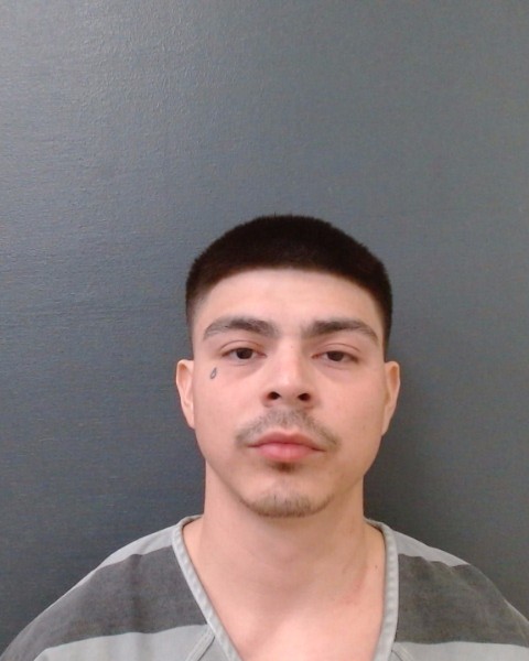 BORDOVSKY, JONATHAN booking photo