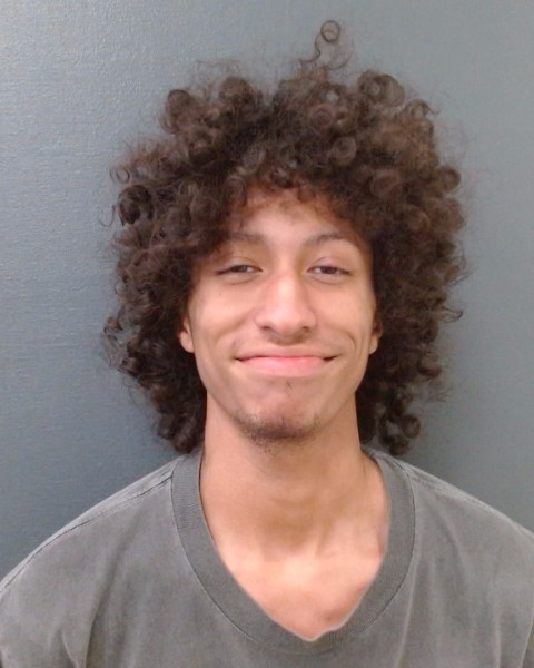 STEPHENS, XAVIER DEVON booking photo