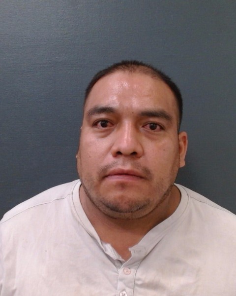 BENAVIDES-HERNANDEZ, GILBERTO booking photo