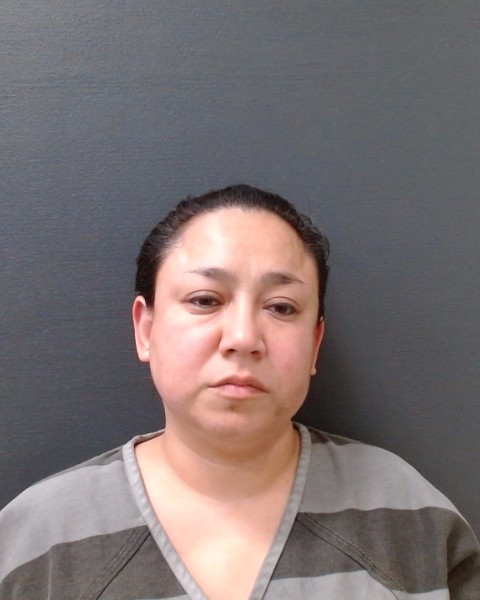 SCOGNIL, ASHLEY MARIE booking photo