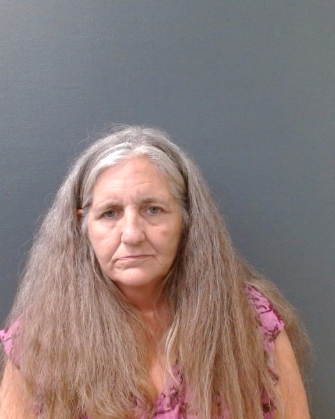 WILLIAMS, KAREN LYNN booking photo