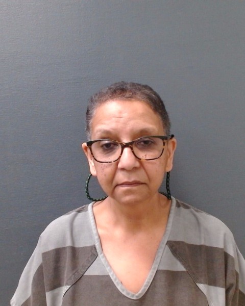 LONG, ARIANE PATRICIA booking photo