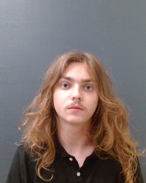 LUDZENSKI, HENRY EDWARD booking photo