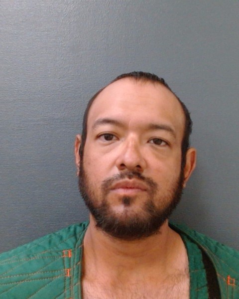 CASTILLEJA, JAVIER RENE, Jr. booking photo