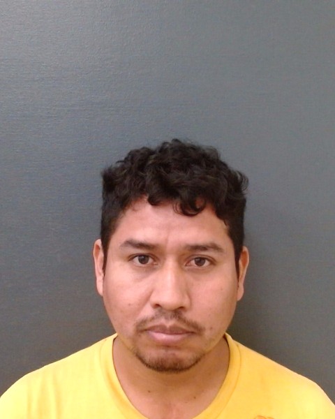 RAMIREZ, FIDEL booking photo