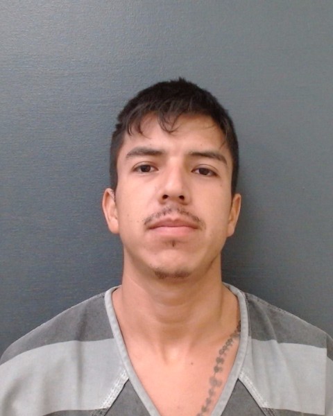 TORRES VELA, JESUS booking photo