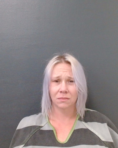 SHERMER, BRITTNEE LYNN booking photo