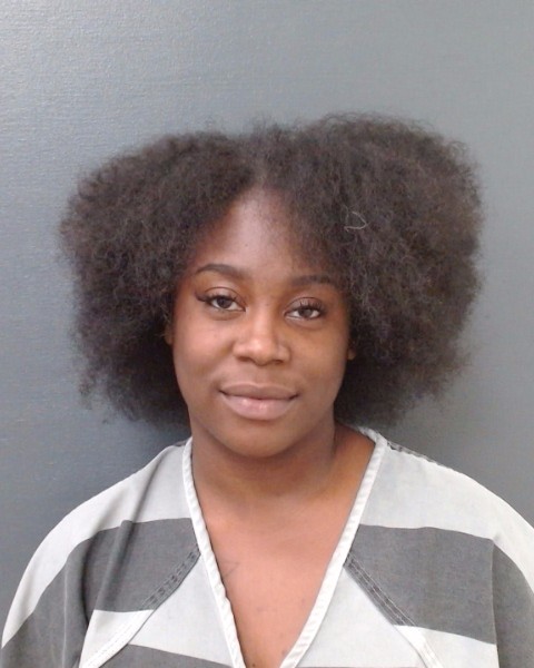 BROWN, DARLETTE UNICE booking photo