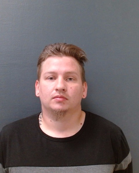 MCLEMORE, TRISTEN DAKOTA booking photo