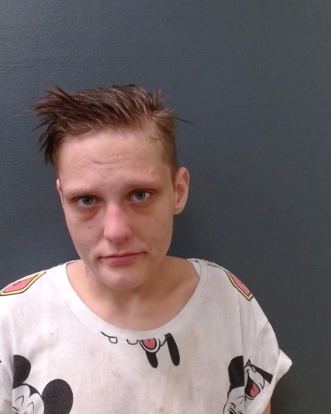 THOMPSON, SHAYAN ELIZABETH booking photo