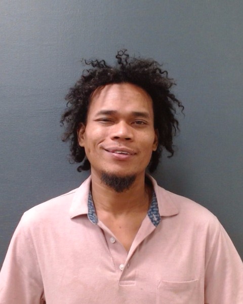 NELSON, MARK ANTHONY MARABE booking photo