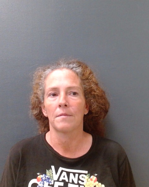 HOFFMAN, ASHLEY ERIN booking photo