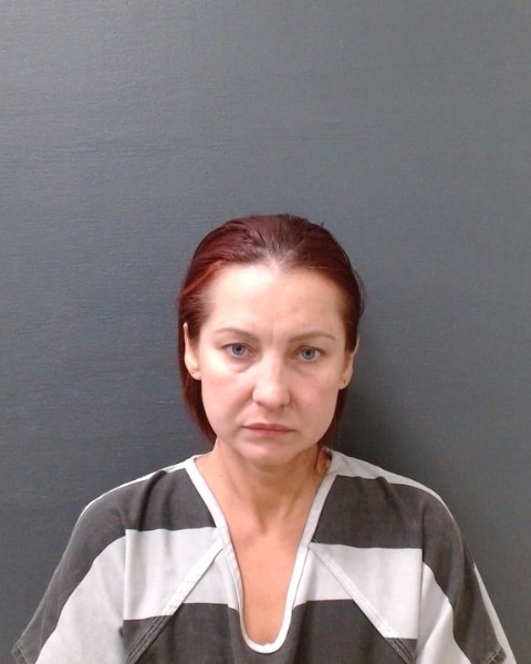 DZMITRYIEU, VIKA booking photo