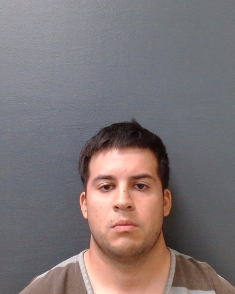 LEIVA-MELLADO, MARCELO IGNACIO booking photo