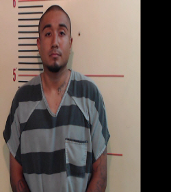 FRASUTO, SONNIE booking photo