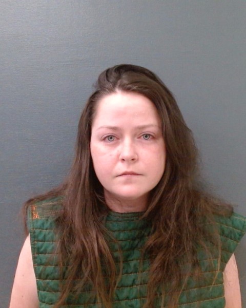 WILSON, CHELSEA KEALOHALANI booking photo