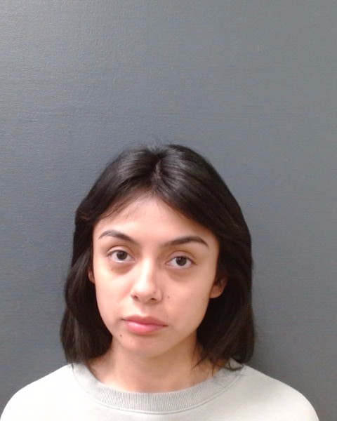 AGUILAR-AGUILLON, ANDREA DALILA booking photo