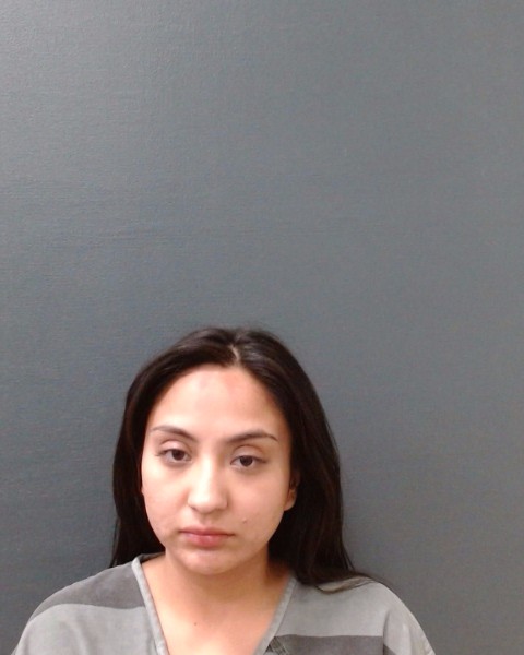 AVILA-JIMENEZ, LIZBETH NATALI booking photo
