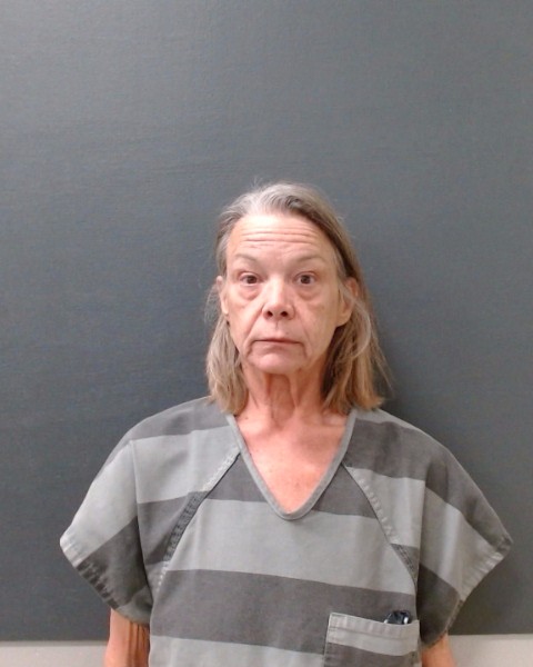 WILLIAMS, TRACY ANN booking photo