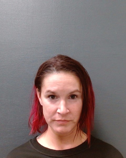 DEHOYOS, RENEE DENISE booking photo