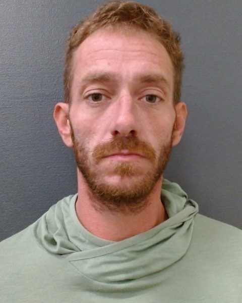 WOODWARD, BRIAN ANDRE booking photo