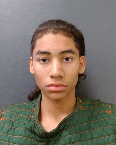 CERDA, TONY EDWARD booking photo